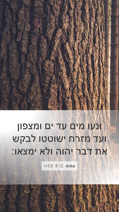 עמוס 8:12 HEB Bible Verse Image