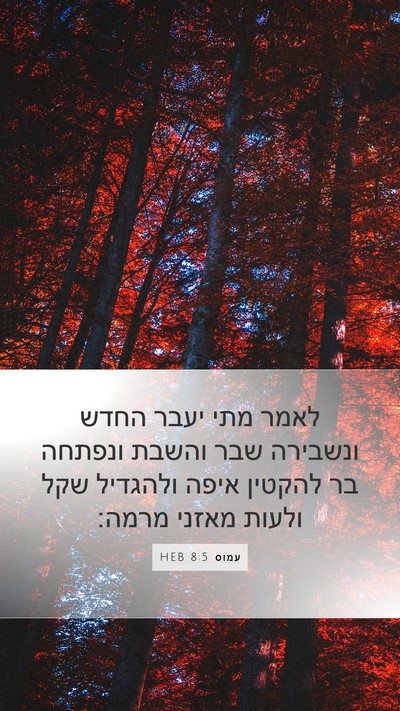 עמוס 8:5 HEB Bible Verse Image