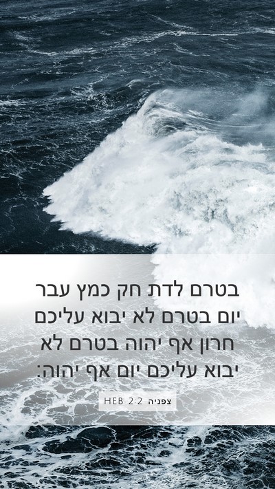צפניה 2:2 HEB Bible Verse Image