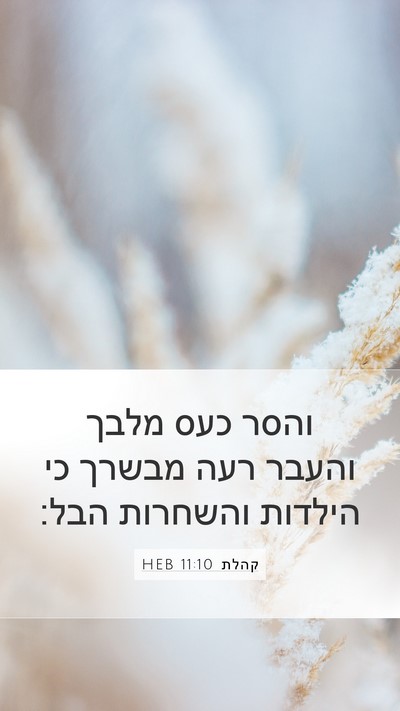קהלת 11:10 HEB Bible Verse Image