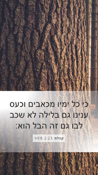קהלת 2:23 HEB Bible Verse Image