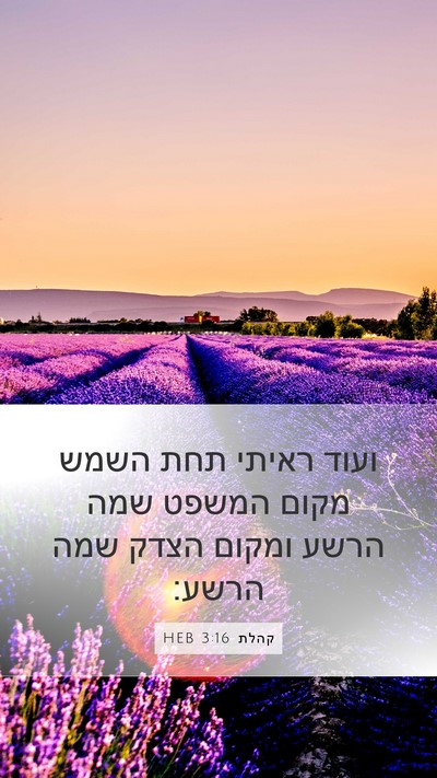 קהלת 3:16 HEB Bible Verse Image