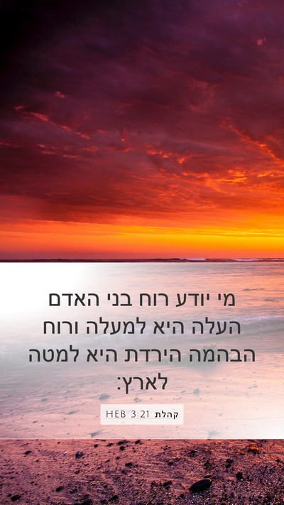 קהלת 3:21 HEB Bible Verse Image