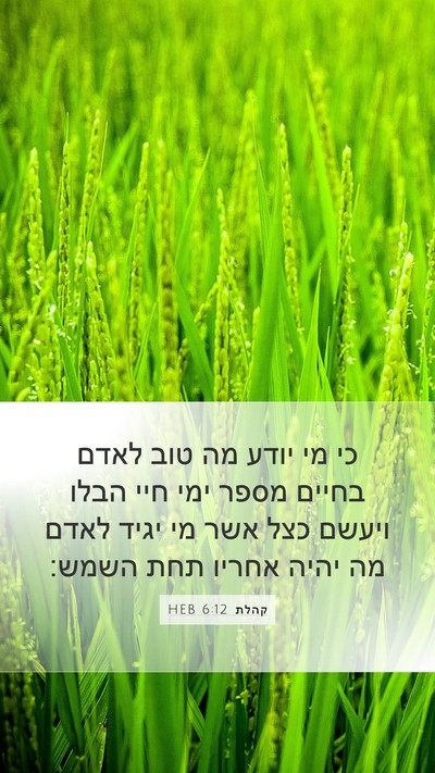 קהלת 6:12 HEB Bible Verse Image
