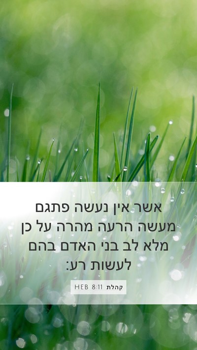 קהלת 8:11 HEB Bible Verse Image