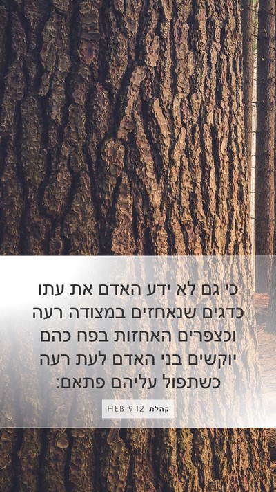 קהלת 9:12 HEB Bible Verse Image