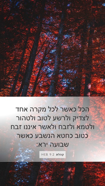 קהלת 9:2 HEB Bible Verse Image