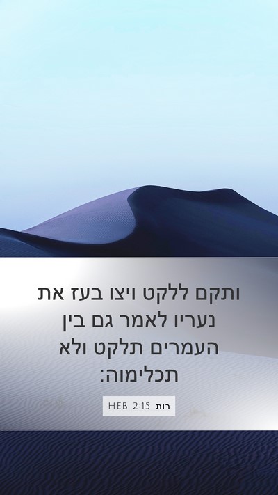 רות 2:15 HEB Mobile Phone Wallpaper - ותקם ללקט ויצו בעז את נעריו - Mobile Bible Verse Wallpaper