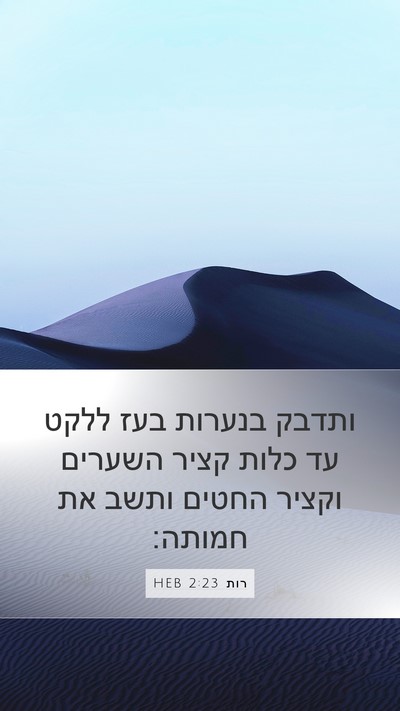 רות 2:23 HEB Bible Verse Image