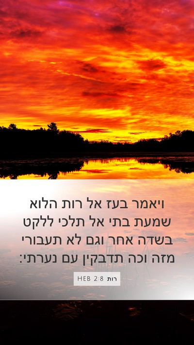 רות 2:8 HEB Bible Verse Image