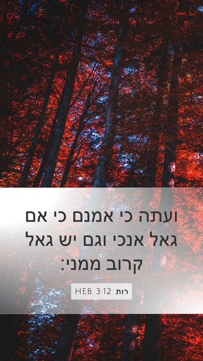 רות 3:12 HEB Bible Verse Image