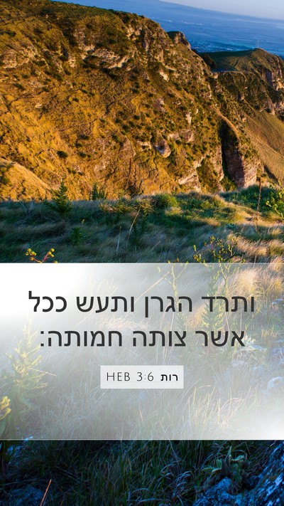 רות 3:6 HEB Mobile Phone Wallpaper - ותרד הגרן ותעש ככל אשר צותה - Mobile Bible Verse Wallpaper