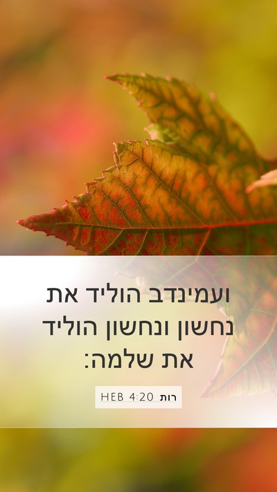 רות 4:20 HEB Bible Verse Image