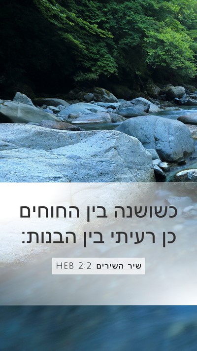 שיר השירים 2:2 HEB Bible Verse Image
