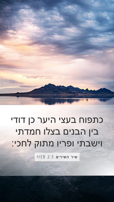 שיר השירים 2:3 HEB Bible Verse Image