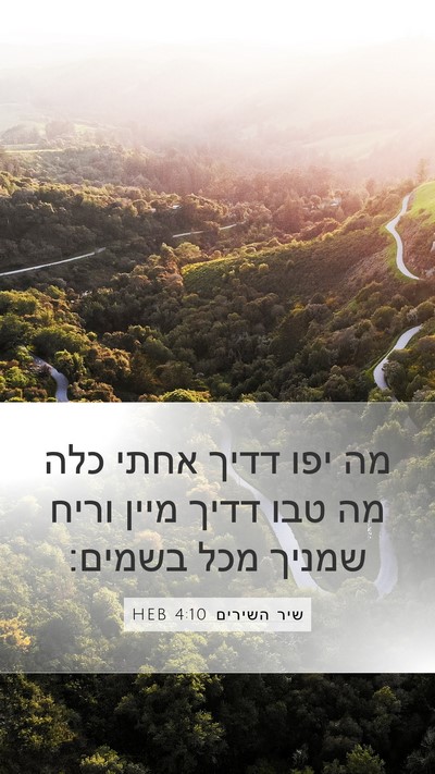 שיר השירים 4:10 HEB Mobile Phone Wallpaper - מה יפו דדיך אחתי כלה מה טבו - Mobile Bible Verse Wallpaper