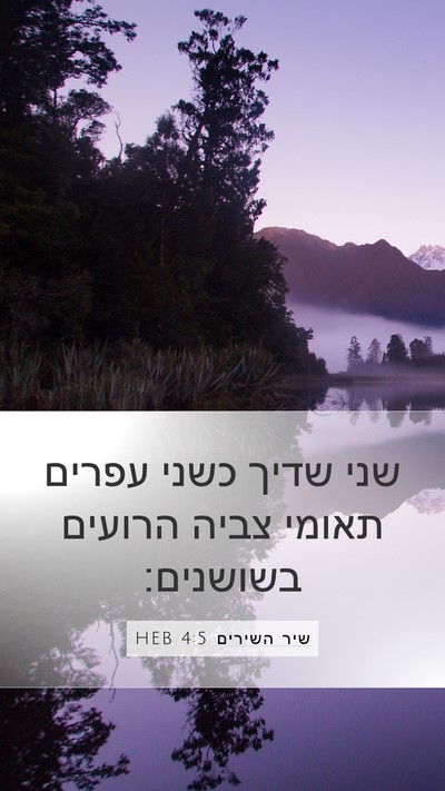 שיר השירים 4:5 HEB Bible Verse Image