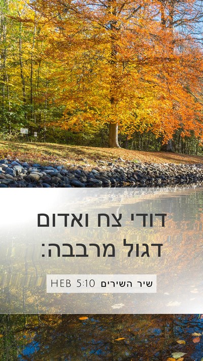שיר השירים 5:10 HEB Mobile Phone Wallpaper - דודי צח ואדום דגול - Mobile Bible Verse Wallpaper