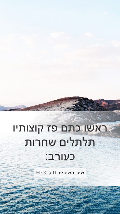 שיר השירים 5:11 HEB Mobile Phone Wallpaper - ראשו כתם פז קוצותיו תלתלים - Mobile Bible Verse Wallpaper