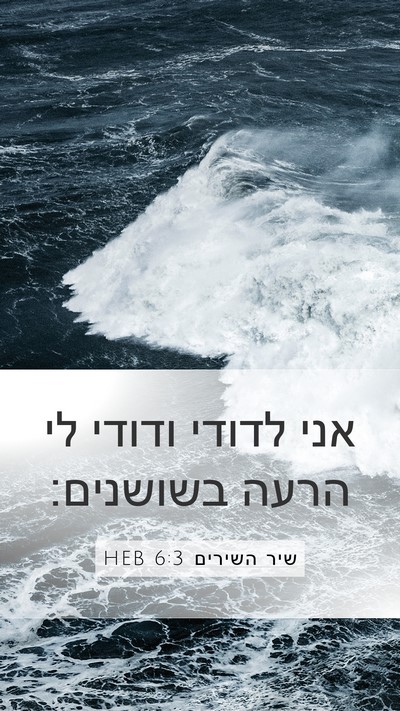 שיר השירים 6:3 HEB Mobile Phone Wallpaper - אני לדודי ודודי לי הרעה - Mobile Bible Verse Wallpaper