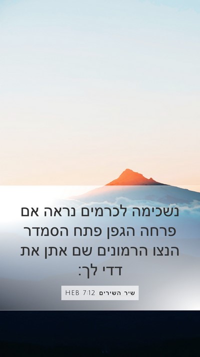שיר השירים 7:12 HEB Bible Verse Image