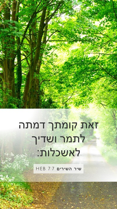 שיר השירים 7:7 HEB Bible Verse Image