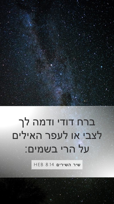שיר השירים 8:14 HEB Bible Verse Image