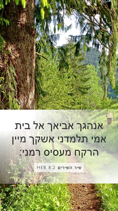 שיר השירים 8:2 HEB Bible Verse Image