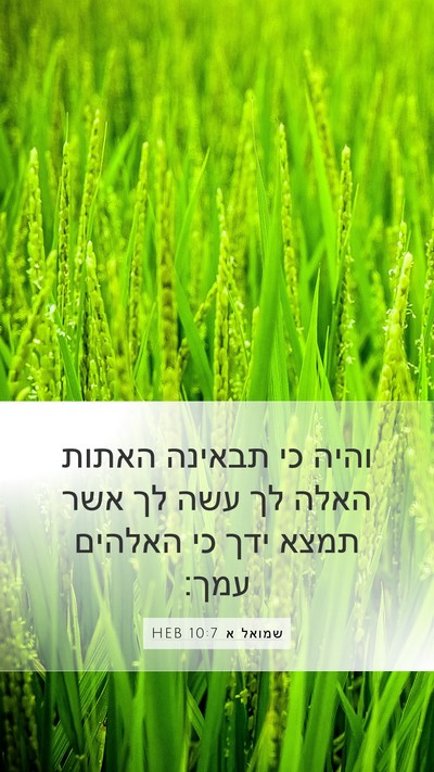 שמואל א 10:7 HEB Bible Verse Image