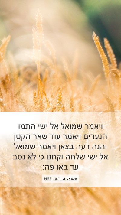 שמואל א 16:11 HEB Bible Verse Image