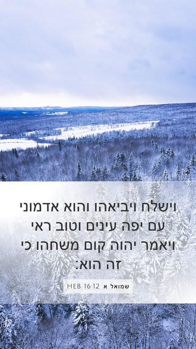 שמואל א 16:12 HEB Bible Verse Image
