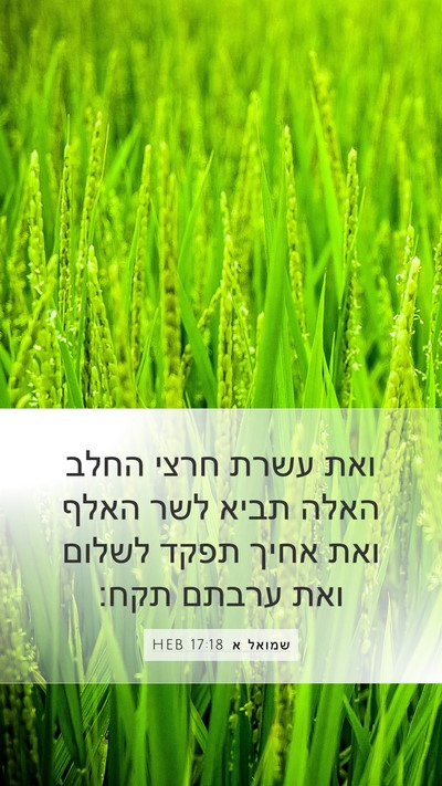 שמואל א 17:18 HEB Bible Verse Image