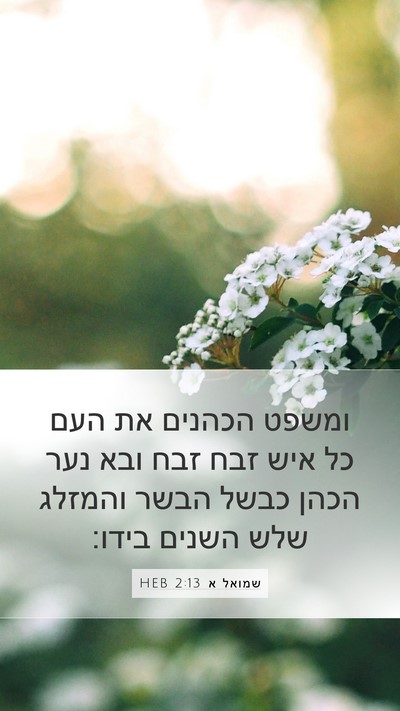 שמואל א 2:13 HEB Bible Verse Image