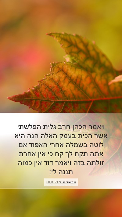 שמואל א 21:9 HEB Bible Verse Image