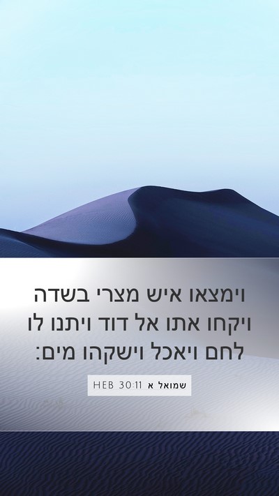 שמואל א 30:11 HEB Bible Verse Image