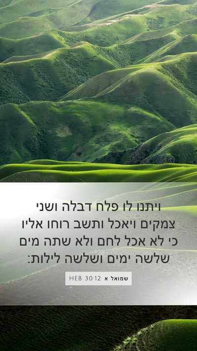 שמואל א 30:12 HEB Bible Verse Image