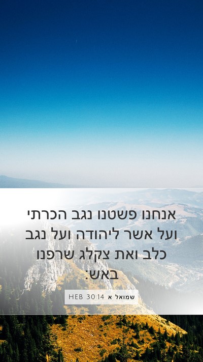 שמואל א 30:14 HEB Bible Verse Image