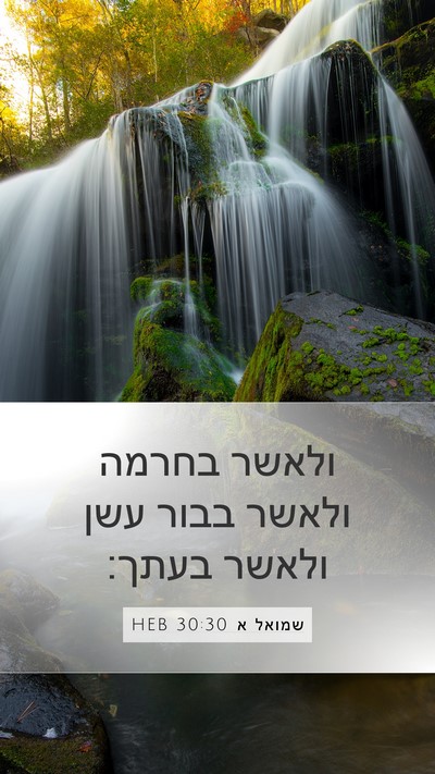 שמואל א 30:30 HEB Bible Verse Image