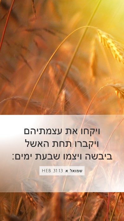 שמואל א 31:13 HEB Bible Verse Image