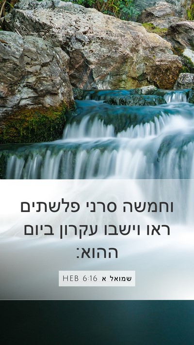 שמואל א 6:16 HEB Bible Verse Image