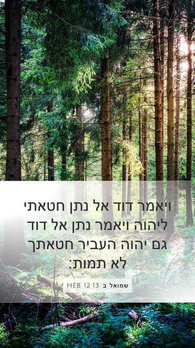 שמואל ב 12:13 HEB Bible Verse Image