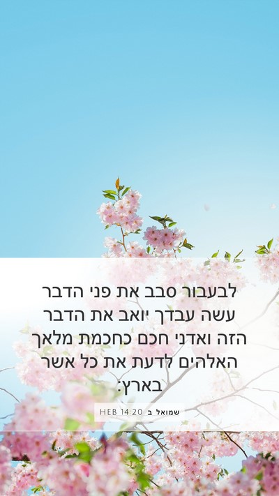 שמואל ב 14:20 HEB Bible Verse Image