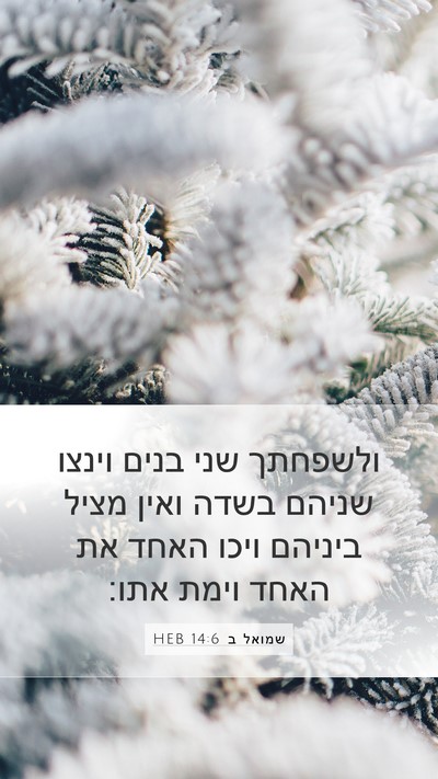 שמואל ב 14:6 HEB Bible Verse Image