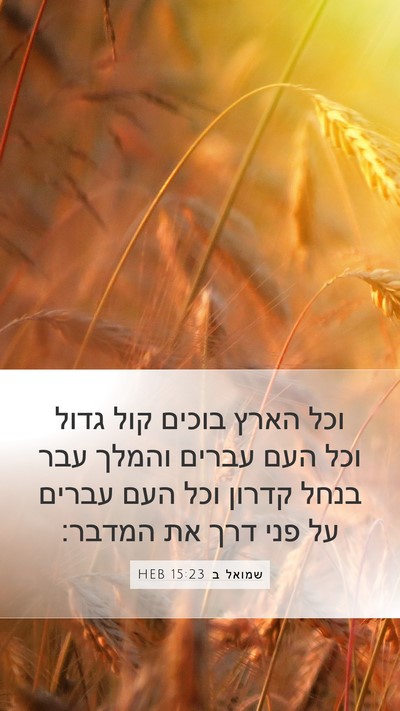 שמואל ב 15:23 HEB Bible Verse Image