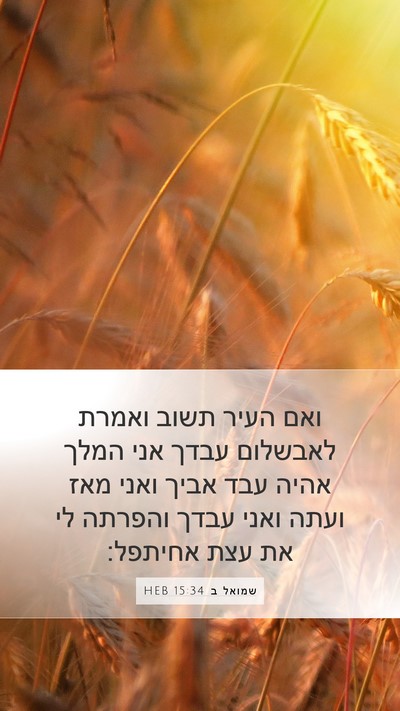 שמואל ב 15:34 HEB Bible Verse Image