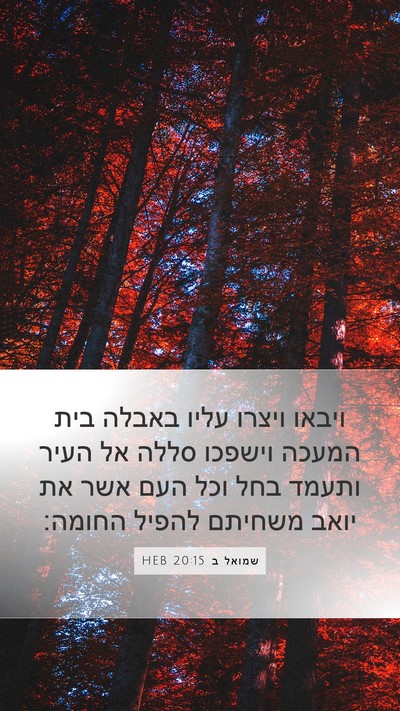 שמואל ב 20:15 HEB Bible Verse Image