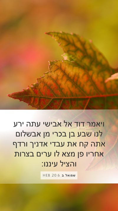 שמואל ב 20:6 HEB Bible Verse Image