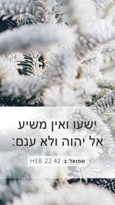 שמואל ב 22:42 HEB Bible Verse Image