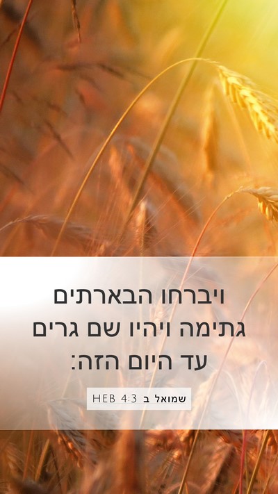 שמואל ב 4:3 HEB Bible Verse Image