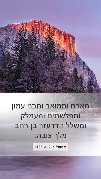 שמואל ב 8:12 HEB Bible Verse Image